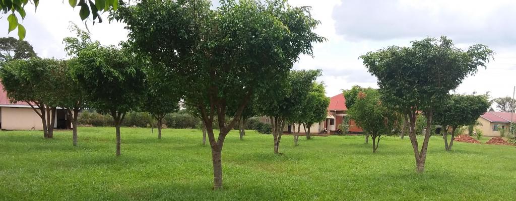 THIS IS THE DISTRICT GARDENS THE ALOKA GARDENS